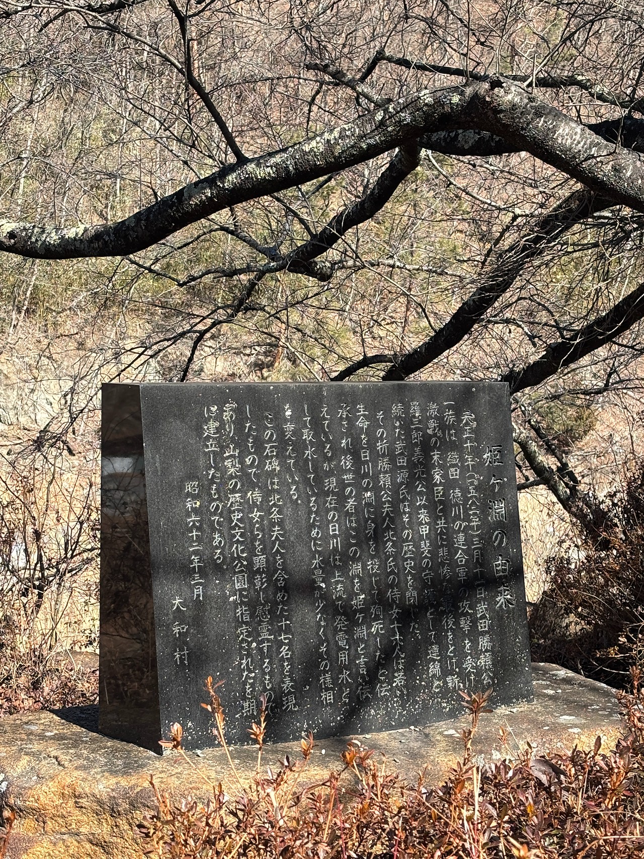 天目山の戦い-4