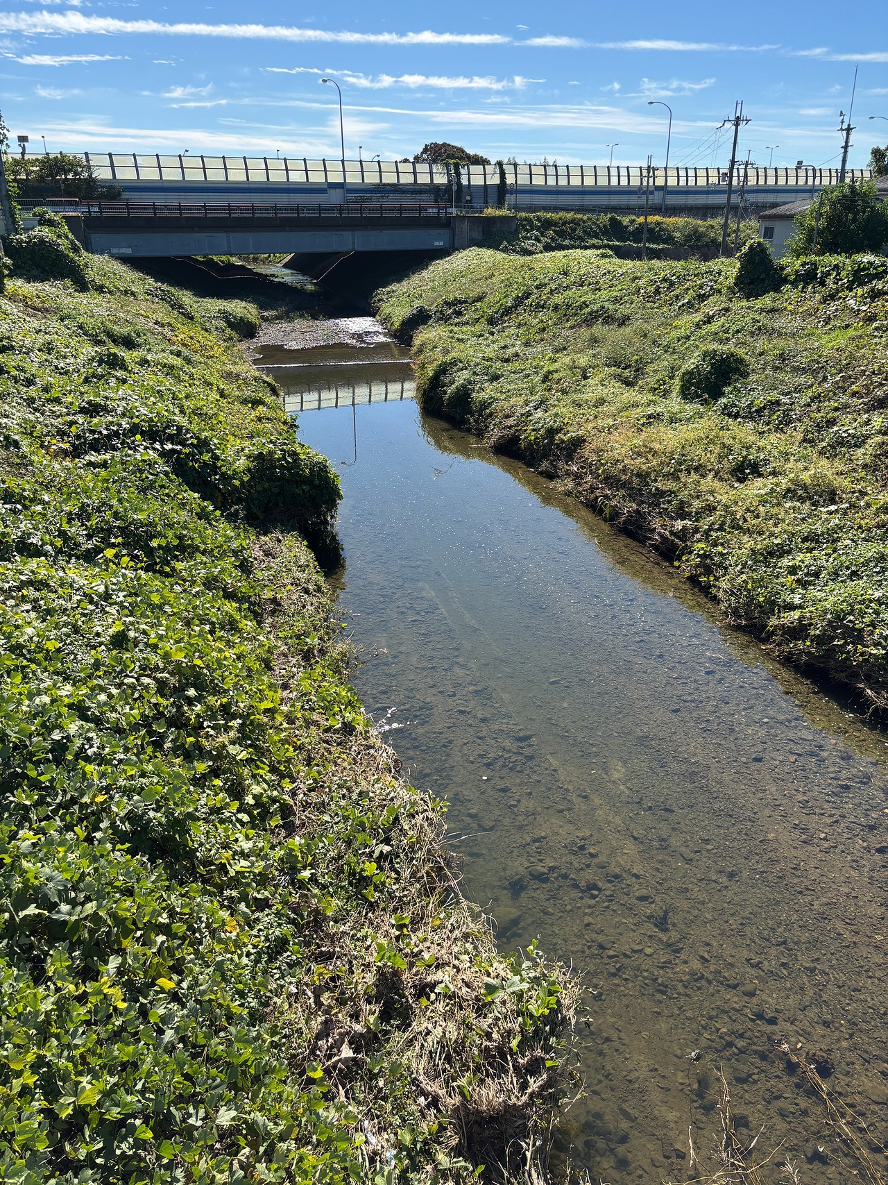 山崎の戦い-3