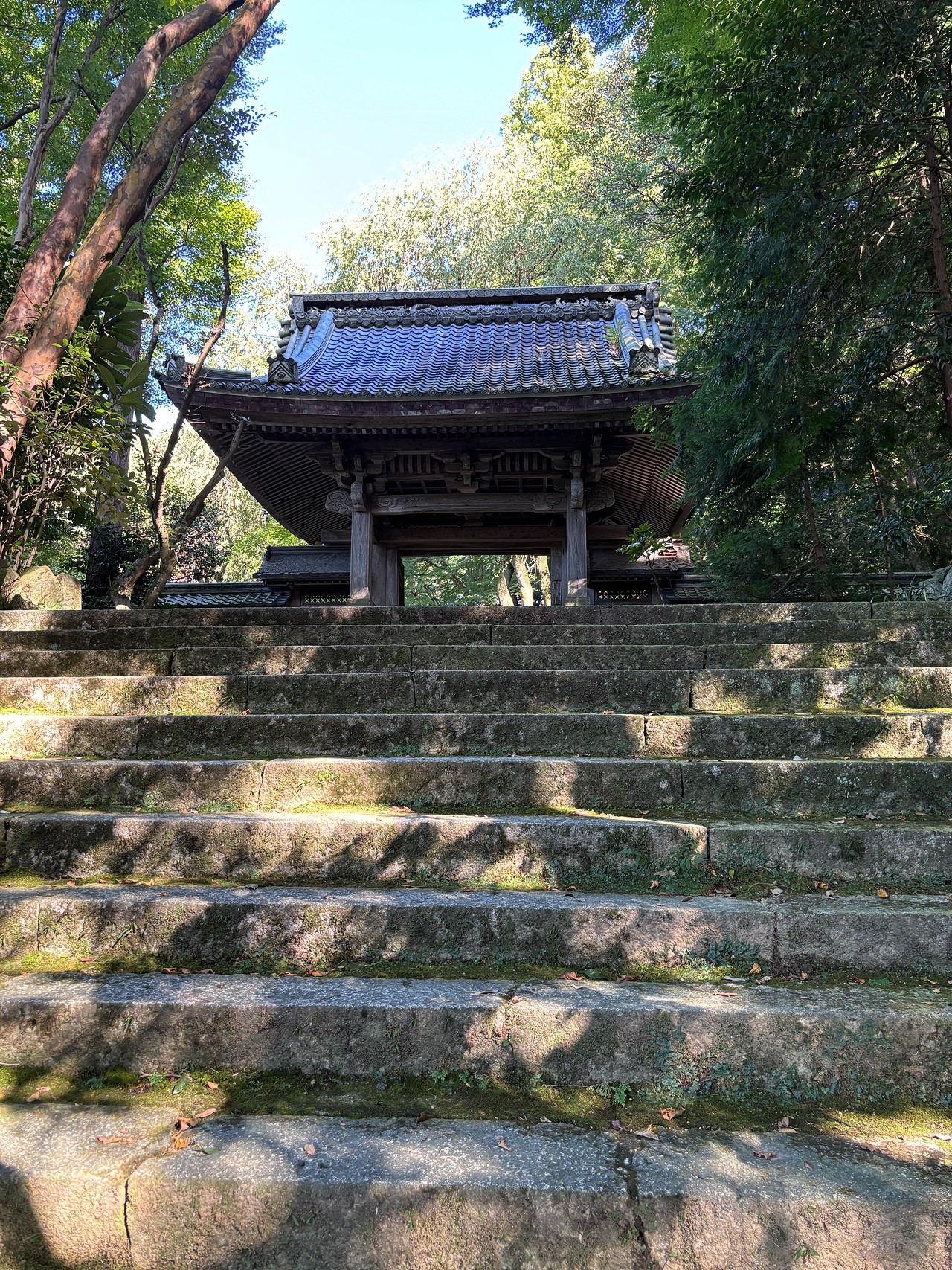 佐和山城の戦い-4