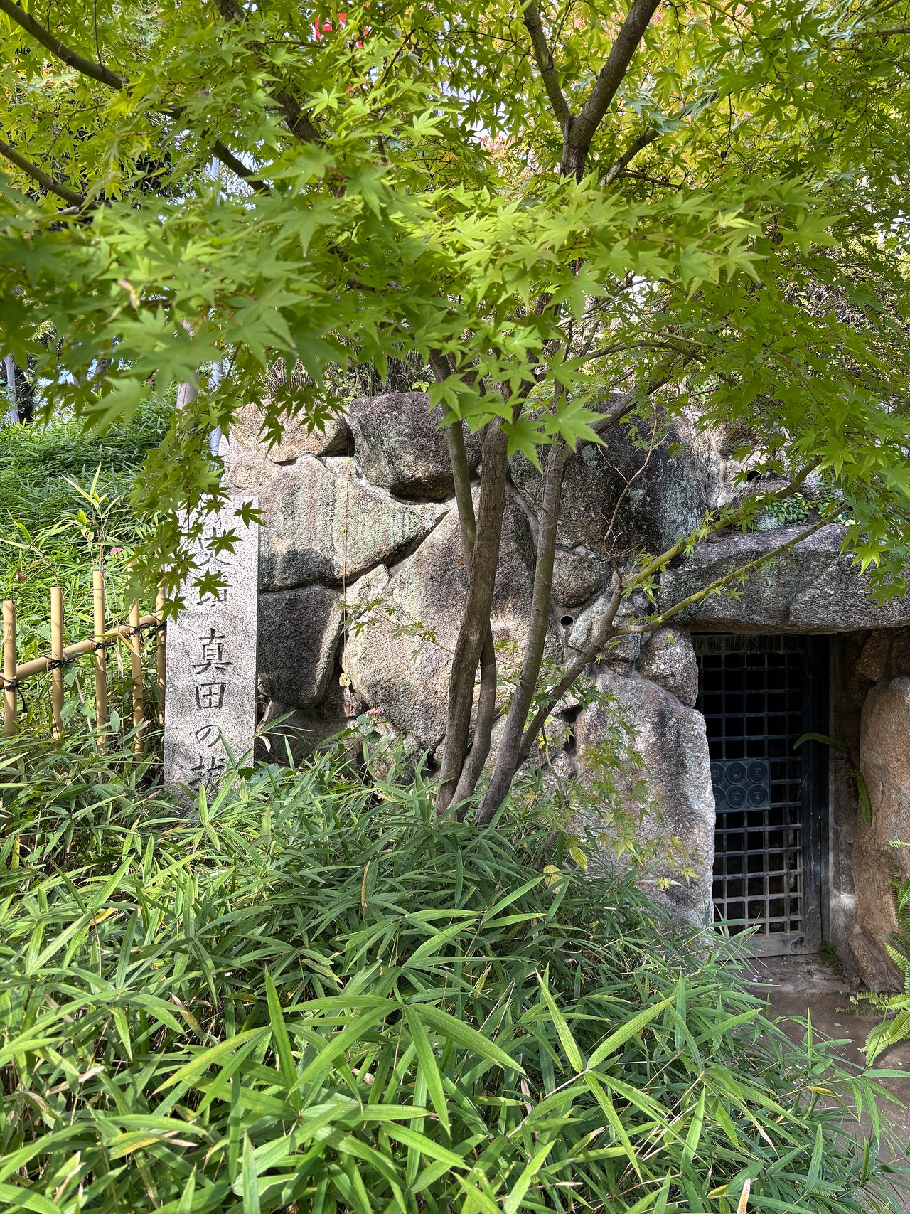 真田丸の戦い-1