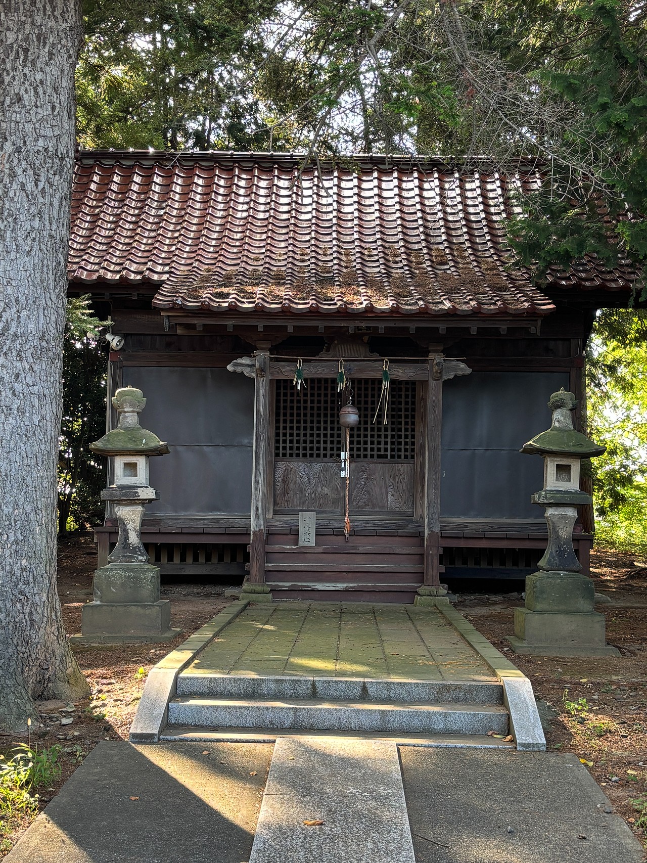 麓山神社-4