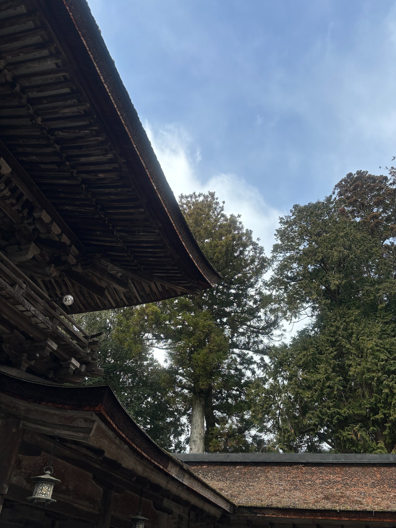 油日神社-4